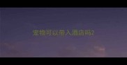 宠物可以带入酒店吗