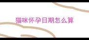 猫咪怀孕日期怎么算