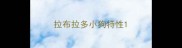 拉布拉多小狗特性