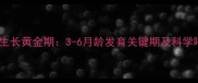 黑贝幼犬生长黄金期3-6月龄发育关键期及科学喂养指南