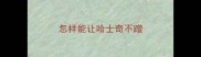 怎样能让哈士奇不蹭