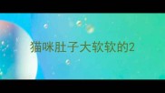 猫咪肚子大软软的