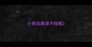 小狗流鼻涕不咳嗽