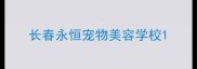 长春永恒宠物美容学校