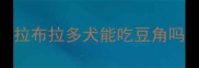 拉布拉多犬能吃豆角吗