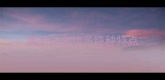 美系拉布拉多纯种特点