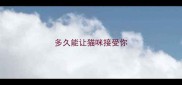多久能让猫咪接受你