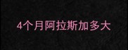 4个月阿拉斯加多大