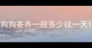 狗狗寄养一般多少钱一天