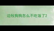 边牧狗狗怎么不吃饭了