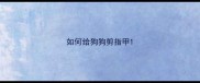 如何给狗狗剪指甲