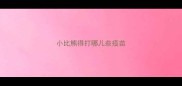 小比熊得打哪儿些疫苗