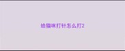 给猫咪打针怎么打