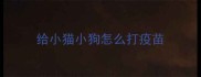 给小猫小狗怎么打疫苗