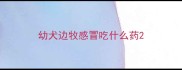幼犬边牧感冒吃什么药
