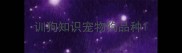 训狗知识宠物狗品种