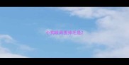 小狗眼周围掉毛是