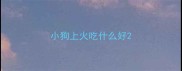 小狗上火吃什么好