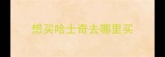 想买哈士奇去哪里买