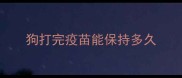 狗打完疫苗能保持多久