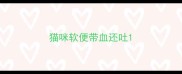 猫咪软便带血还吐