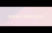 猫咪换牙有哪些症状