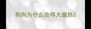 狗狗为什么会得犬瘟热