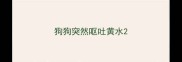 狗狗突然呕吐黄水