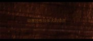 幼崽拉布拉多犬的特点