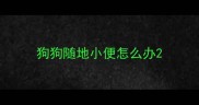狗狗随地小便怎么办