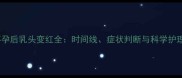 猫咪怀孕后乳头变红全时间线症状判断与科学护理指南