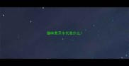 猫咪煮开水代表什么