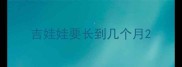吉娃娃要长到几个月