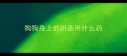 狗狗身上的跳蚤用什么药
