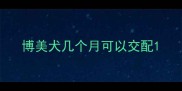 博美犬几个月可以交配