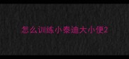 怎么训练小泰迪大小便