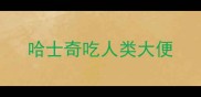 哈士奇吃人类大便