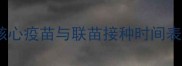 猫咪疫苗接种全攻略核心疫苗与联苗接种时间表及注意事项最新版