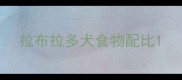 拉布拉多犬食物配比