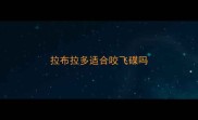拉布拉多适合咬飞碟吗