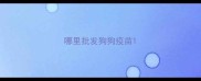 哪里批发狗狗疫苗