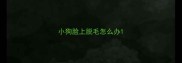小狗脸上脱毛怎么办