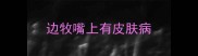 边牧嘴上有皮肤病