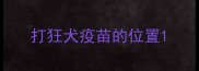 打狂犬疫苗的位置