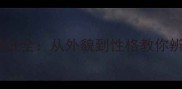 哈士奇犬种特征全从外貌到性格教你辨别纯种犬只
