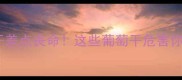 边牧偷吃葡萄干差点丧命这些葡萄干危害你肯定不知道