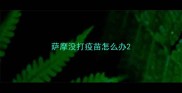 萨摩没打疫苗怎么办