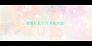 狗要从几个月开始训练