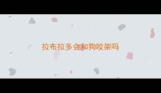 拉布拉多会和狗咬架吗