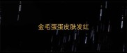 金毛蛋蛋皮肤发红